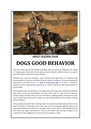 About Teaching Your Dogs Good Behavior
