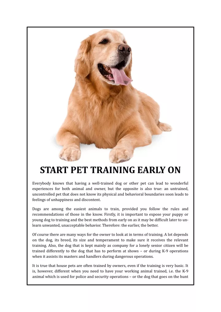 start pet training early on