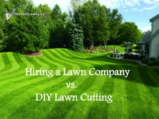 Hiring a Lawn Company vs. DIY Lawn Cutting