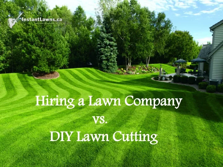 hiring a lawn company vs diy lawn cutting
