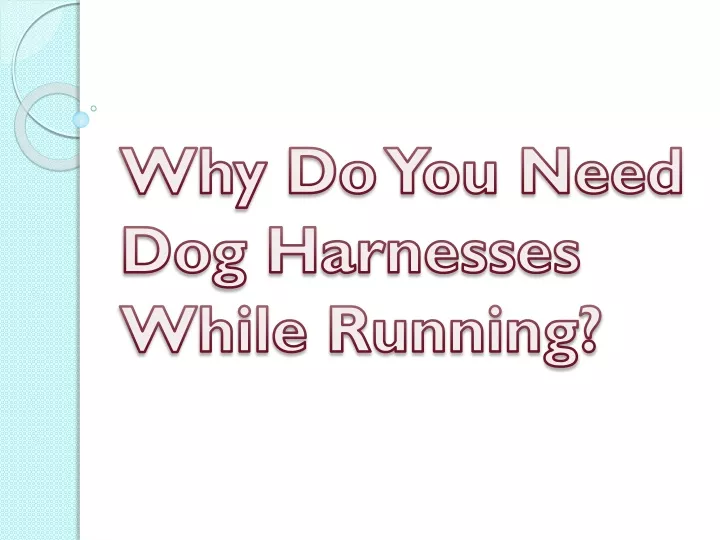 why do you need dog harnesses while running