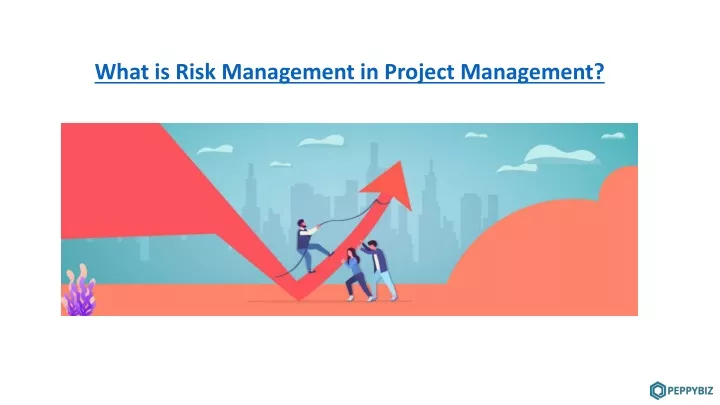 what is risk management in project management