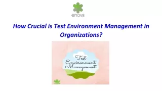 how crucial is test environment management
