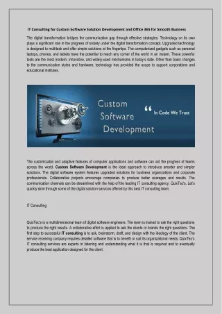 it consulting for custom software solution