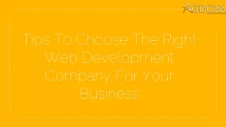 tips to choose the right web development company for your business