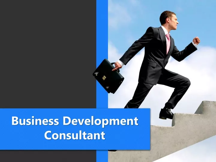 business development consultant
