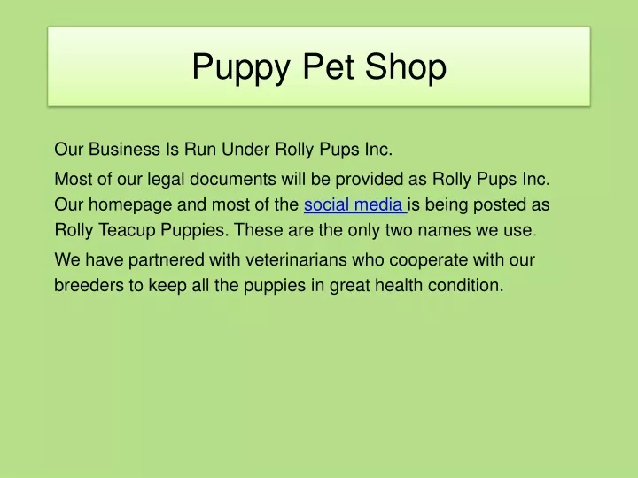 puppy pet shop