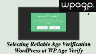WordPress Age Verification Plugins to Assist You Add an Age Gate