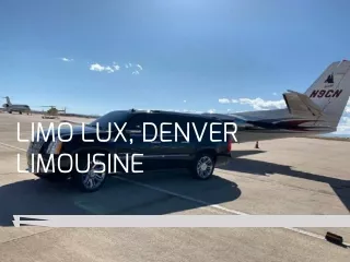 Take a Denver Limo Lux Tour for Denver's Wildlife Expedition