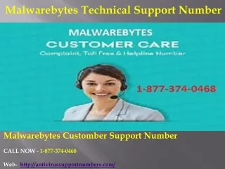 Hassle-free Malwarebytes Customer Support Number 24x7