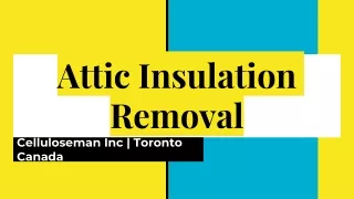 Attic Insulation Removal-Celluloseman Inc. in Toronto, Canada