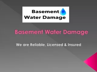 Best Water Damage Restoration Service in Brooklyn