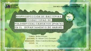 Bioprospección de Bacterias productoras de polihidroxialcanatos (PHA's) en el departamento de Nariño