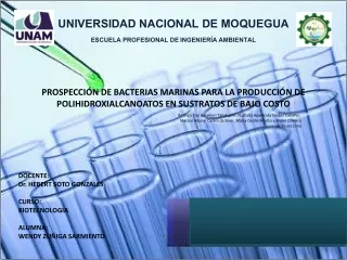 PROSPECCIÓN DE BACTERIAS MARINAS PARA LA PRODUCCIÓN DEPOLIHIDROXIALCANOATOS EN SUSTRATOS DE BAJO COSTO