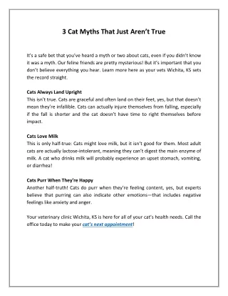 3 cat myths that just aren t true