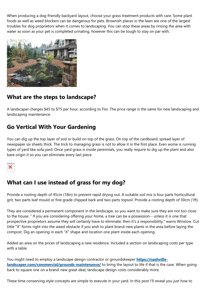 when producing a dog friendly backyard layout