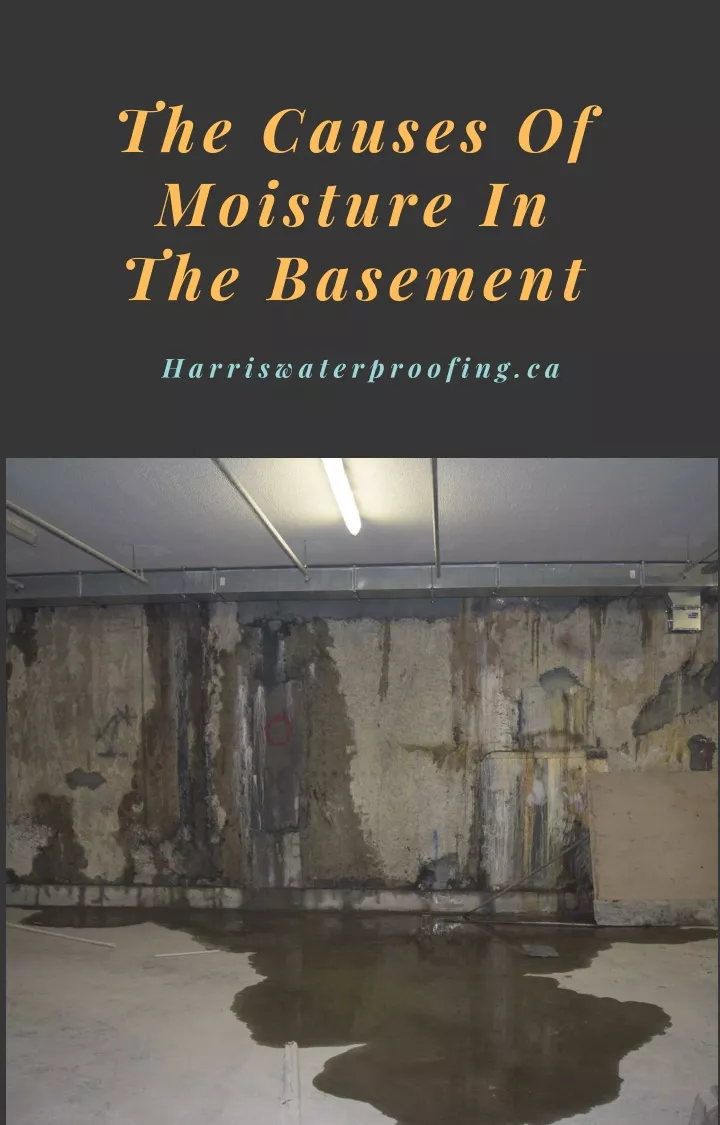 the causes of moisture in the basement