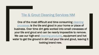 tile grout cleaning services nm