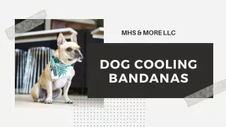 Buy Dog Cooling Bandanas Online at MHS & More LLC