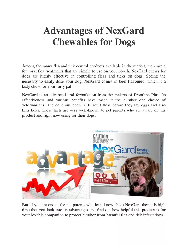 advantages of nexgard chewables for dogs