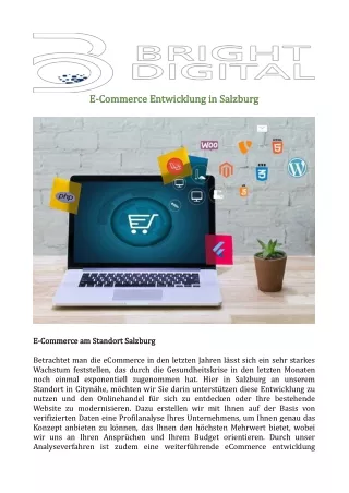 e e commerce entwicklung in salzburg commerce