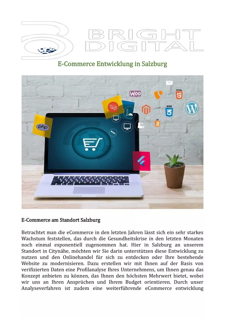 e e commerce entwicklung in salzburg commerce