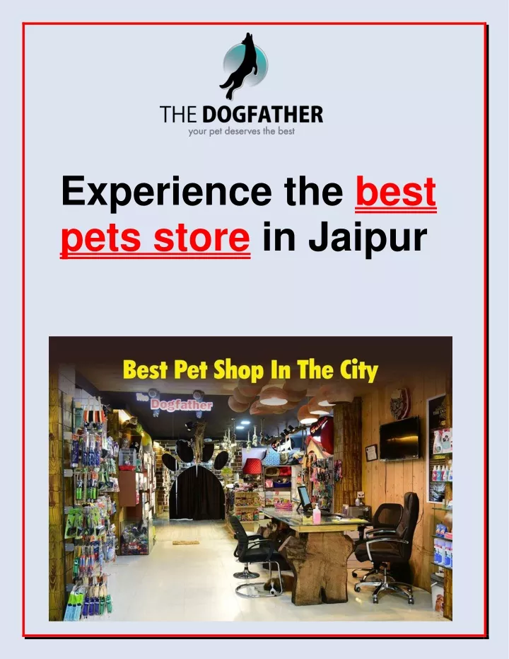 experience the best pets store in jaipur