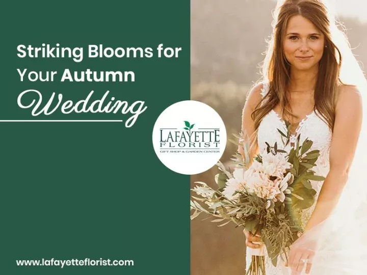 striking blooms for your autumn wedding