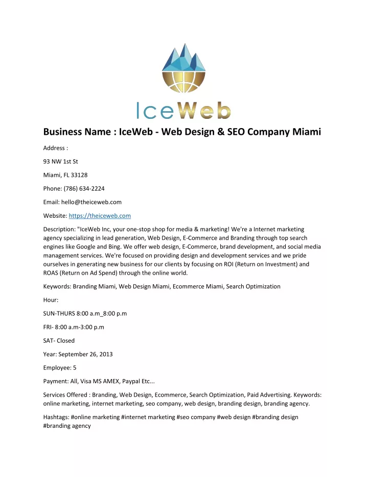 business name iceweb web design seo company miami