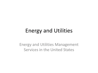 Energy and Utilities Management Services in the United States