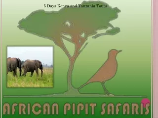 5 Days Kenya and Tanzania Tours