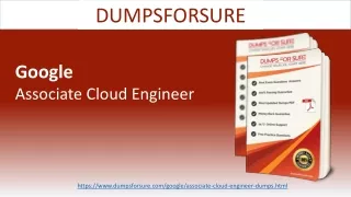 dumpsforsure
