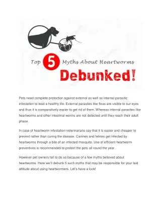 pets need complete protection against external