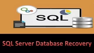 SQL Recovery Software - Repair and recover SQL data