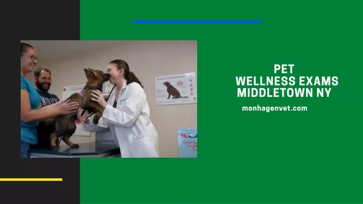 pet wellness exams middletown ny