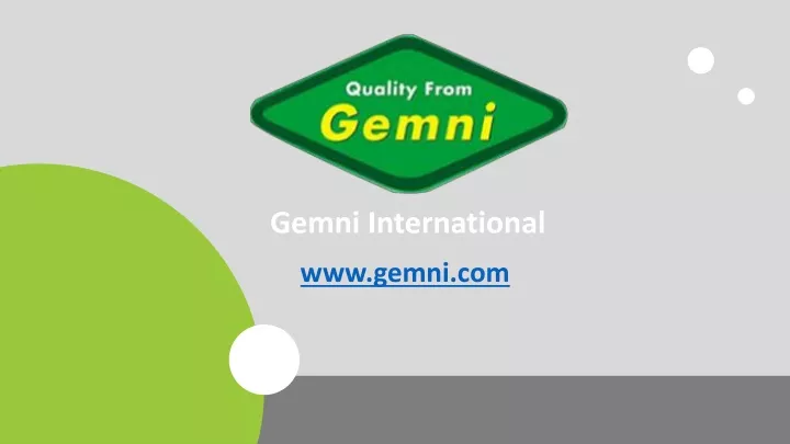 gemni international