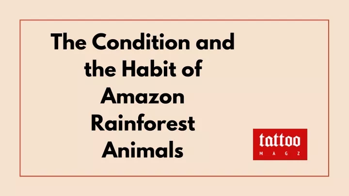 the condition and the habit of amazon rainforest