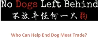 Who Can Help End Dog Meat Trade?