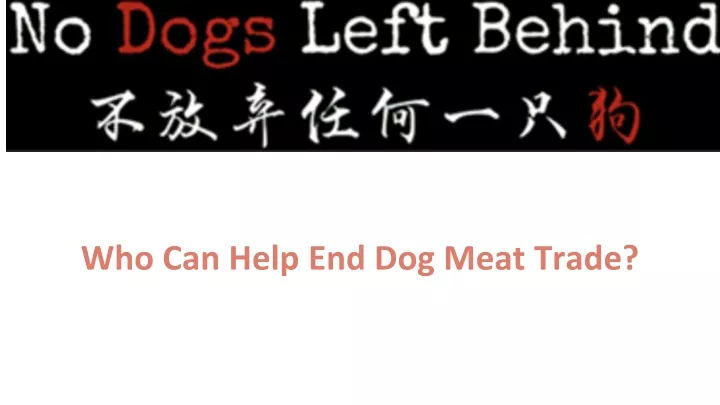 who can help end dog meat trade