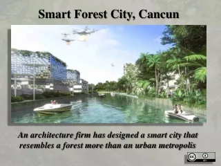 Smart Forest City (Cancun)
