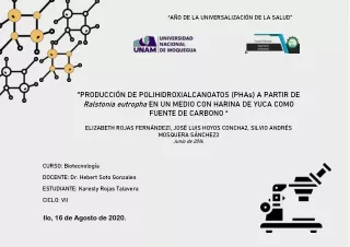 PRODUCCIÓN DE POLIHIDROXIALCANOATOS (PHAs) A PARTIR DE Ralstonia eutropha EN UN MEDIO CON HARINA DE YUCA COMO FUENTE DE