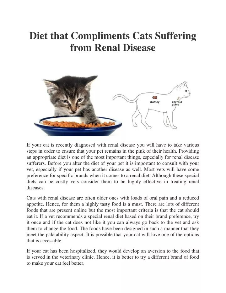 diet that compliments cats suffering from renal