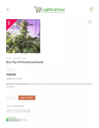 Buy Top 44 Feminized Seeds Online – Legitbudstore