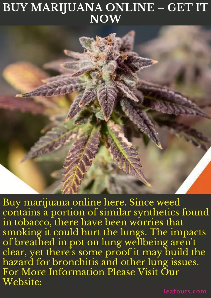 buy marijuana online get it now
