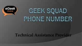 geek squad phone number