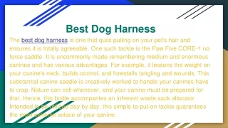 Best Dog harness