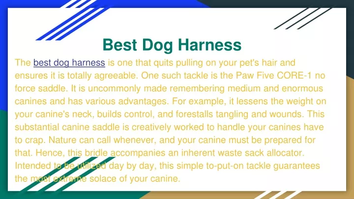 best dog harness the best dog harness is one that