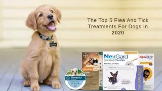 The Top 5 Flea And Tick Treatments For Dogs in 2020