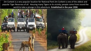 Best resorts in Jim Corbett | Weekend Getaways in Jim Corbett