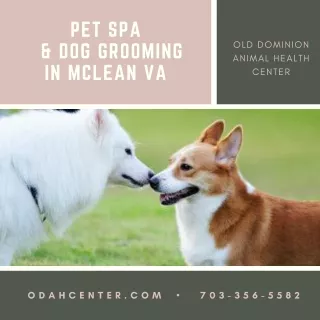 pet spa